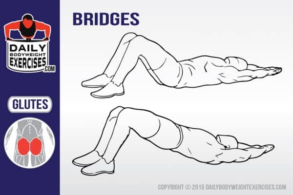 Bridges - Daily Bodyweight Exercises