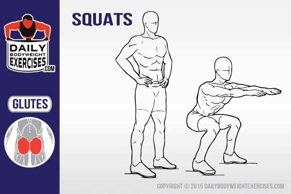 guide on how to do squats