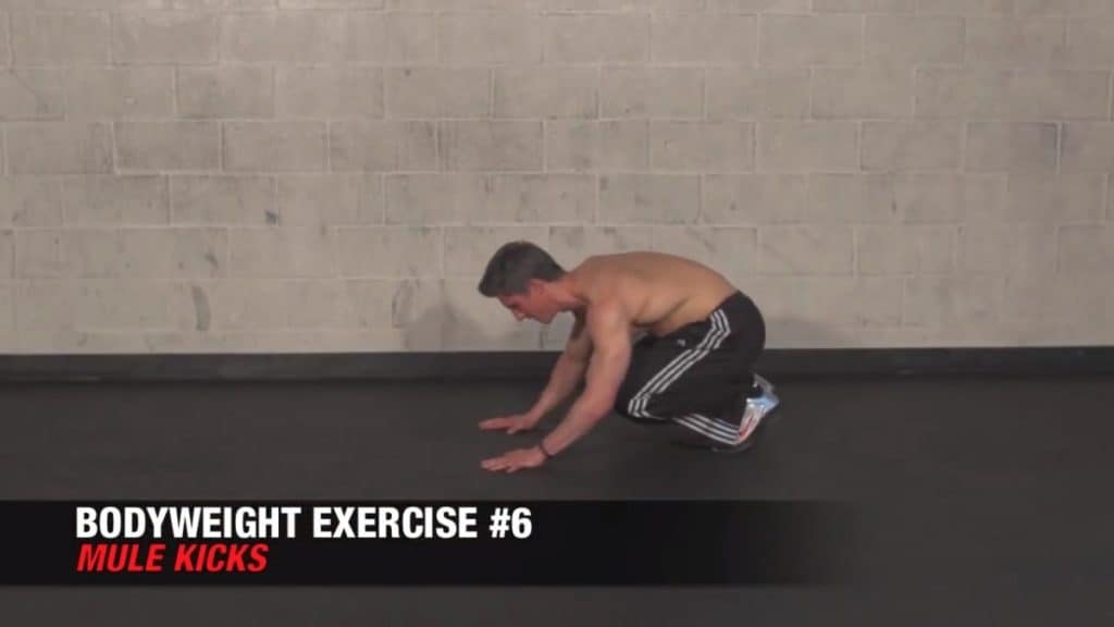 the mule kick is among the best bodyweight exercises for men